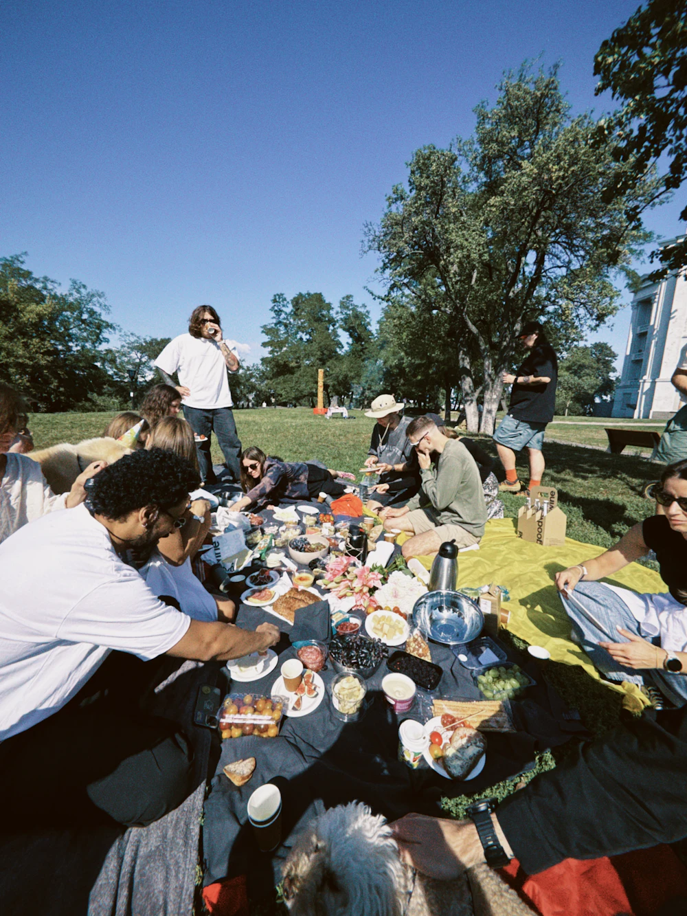 Friends sharing a picnic on a park lawn